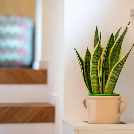 La Dimora Del Figulo 아파트